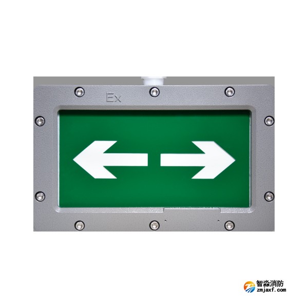四川海灣HW-BLJC-1LREI0.5W-VN850單面雙向應(yīng)急疏散指示燈