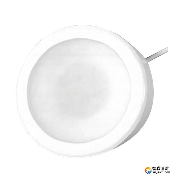 四川海灣HW-ZFJC-E3W-YN650C集中電源集中控制型消防應(yīng)急照明燈具